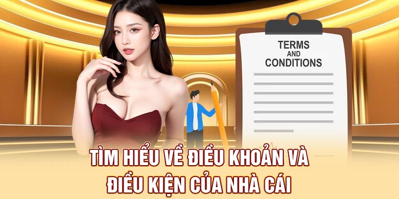 Tổng quan điều kiện điều khoản