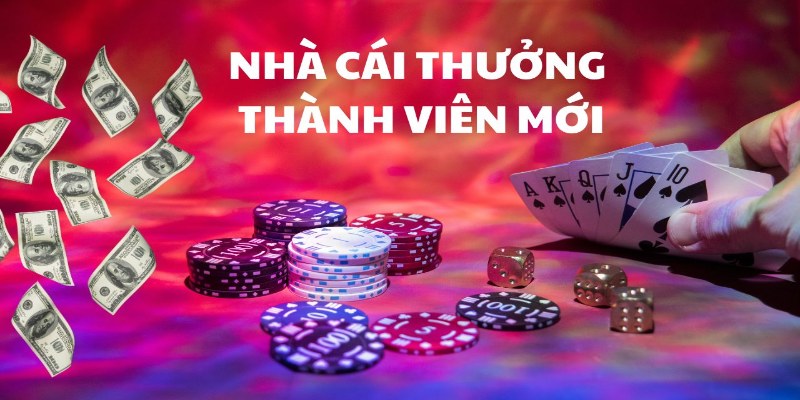 Ưu đãi hội viên chung thành